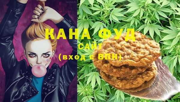 шишки Аркадак