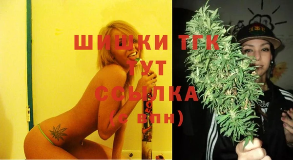 молекула духа Балахна
