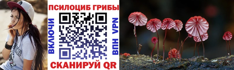 Галлюциногенные грибы прущие грибы  Купить закладки  Удомля 